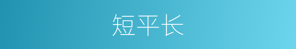 短平长的同义词