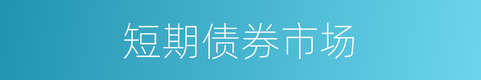 短期债券市场的同义词