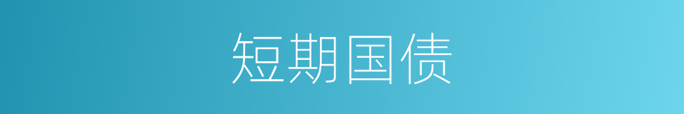 短期国债的同义词