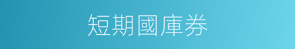 短期國庫券的同義詞