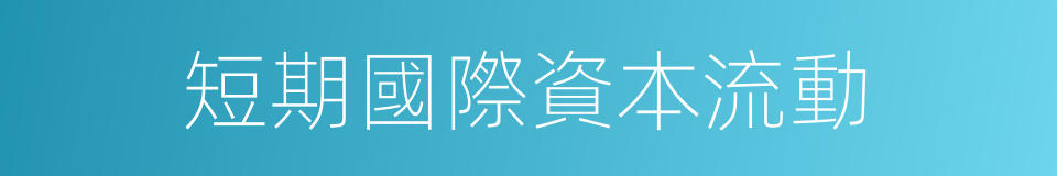 短期國際資本流動的同義詞
