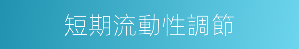 短期流動性調節的同義詞