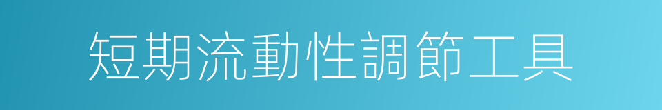 短期流動性調節工具的同義詞