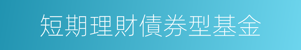 短期理財債券型基金的同義詞