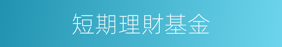 短期理財基金的同義詞