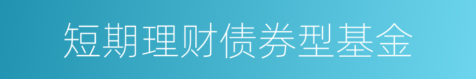 短期理财债券型基金的同义词