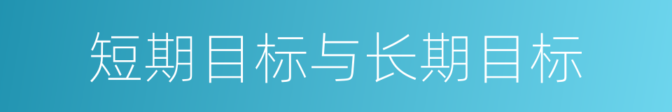 短期目标与长期目标的同义词