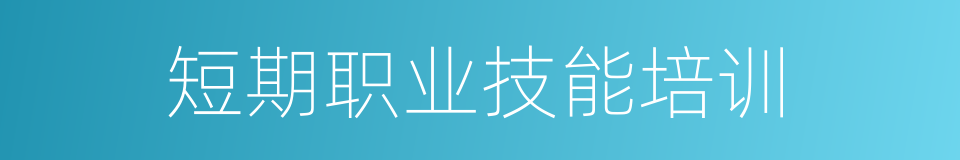 短期职业技能培训的同义词