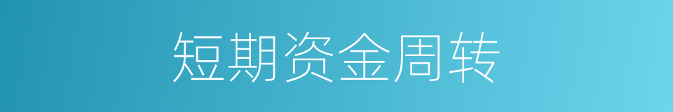 短期资金周转的同义词
