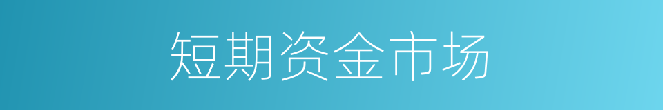 短期资金市场的同义词