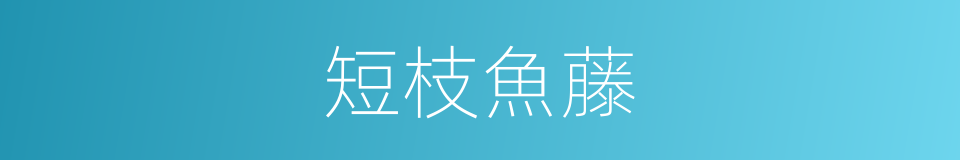 短枝魚藤的同義詞