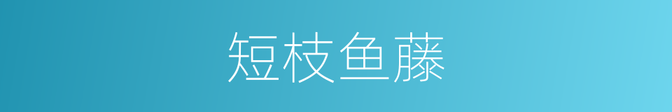 短枝鱼藤的同义词