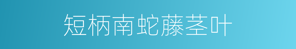 短柄南蛇藤茎叶的同义词
