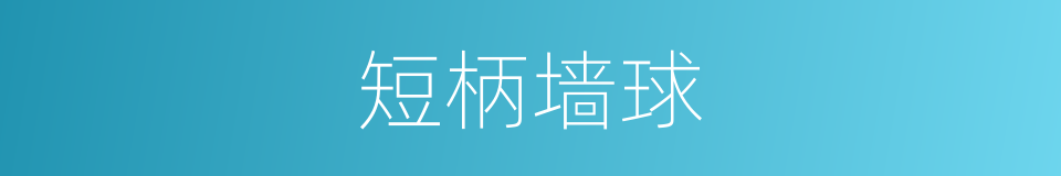 短柄墙球的同义词