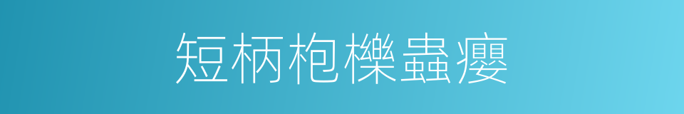 短柄枹櫟蟲癭的同義詞
