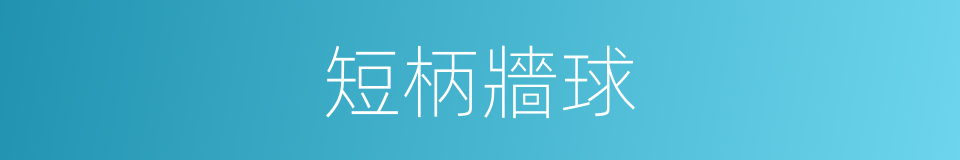 短柄牆球的同義詞