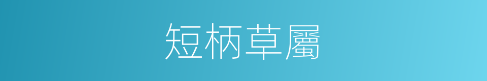 短柄草屬的同義詞