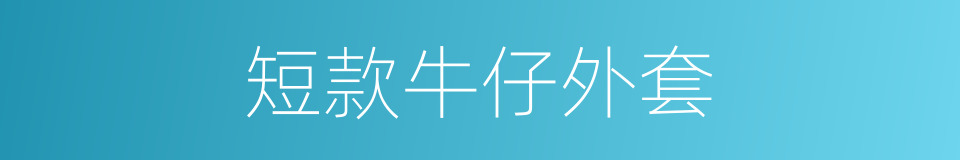 短款牛仔外套的同义词