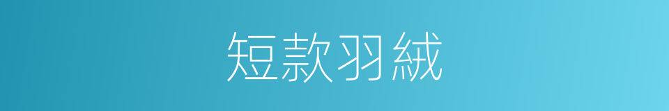 短款羽絨的同義詞