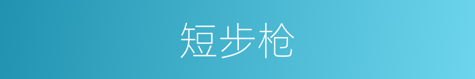 短步枪的同义词