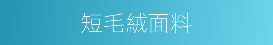 短毛絨面料的同義詞