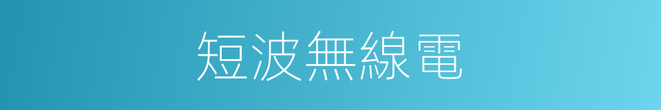 短波無線電的同義詞