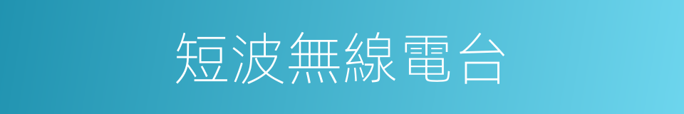 短波無線電台的同義詞