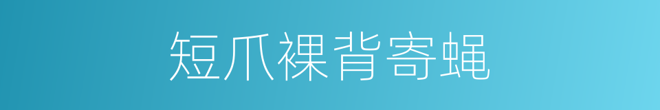 短爪裸背寄蝇的同义词