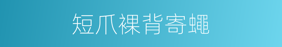 短爪裸背寄蠅的同義詞
