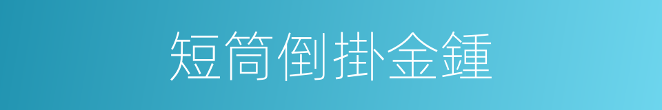 短筒倒掛金鍾的同義詞