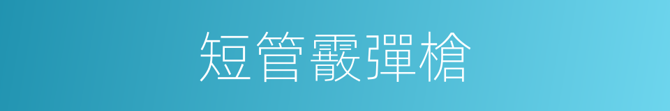 短管霰彈槍的同義詞