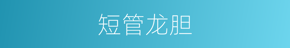 短管龙胆的同义词