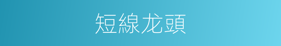 短線龙頭的同義詞