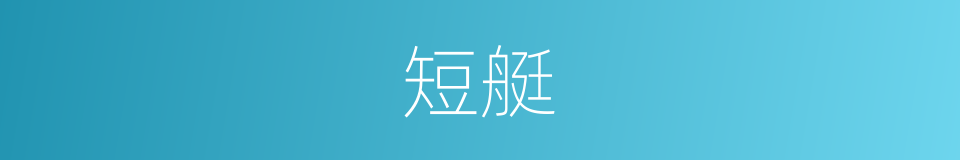 短艇的意思