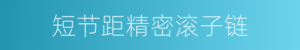 短节距精密滚子链的同义词