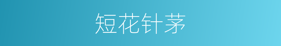 短花针茅的同义词