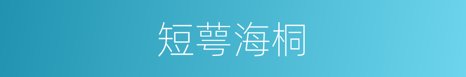 短萼海桐的同义词