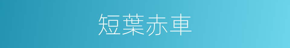 短葉赤車的同義詞