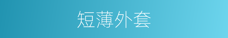 短薄外套的同义词