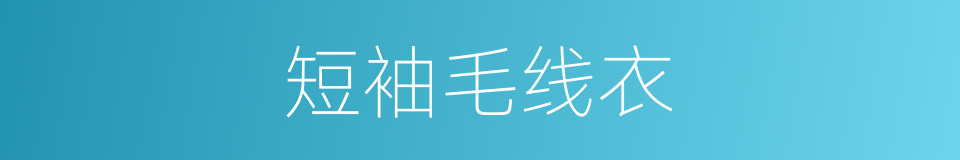 短袖毛线衣的同义词