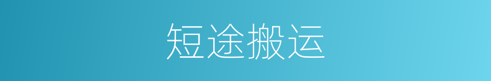 短途搬运的同义词