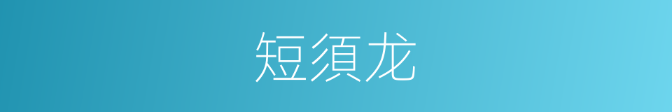 短須龙的同義詞