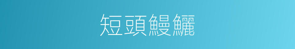 短頭鰻鱺的同義詞