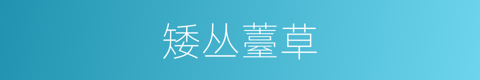 矮丛薹草的同义词