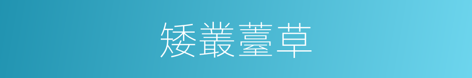 矮叢薹草的同義詞