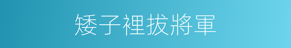 矮子裡拔將軍的同義詞