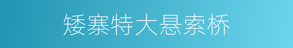 矮寨特大悬索桥的同义词