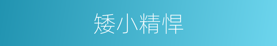 矮小精悍的同义词