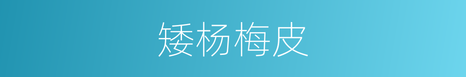 矮杨梅皮的同义词