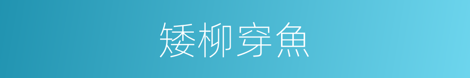 矮柳穿魚的同義詞